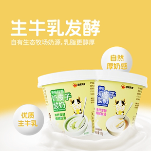 [总店直发]瑞康奶皮子酸奶特产旗舰店网红美食小吃奶皮子顺丰包邮