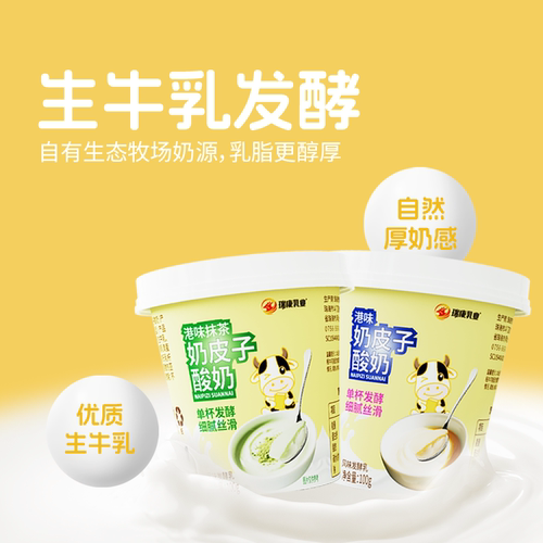 [总店直发]瑞康奶皮子酸奶特产旗舰店网红美食小吃奶皮子顺丰包邮