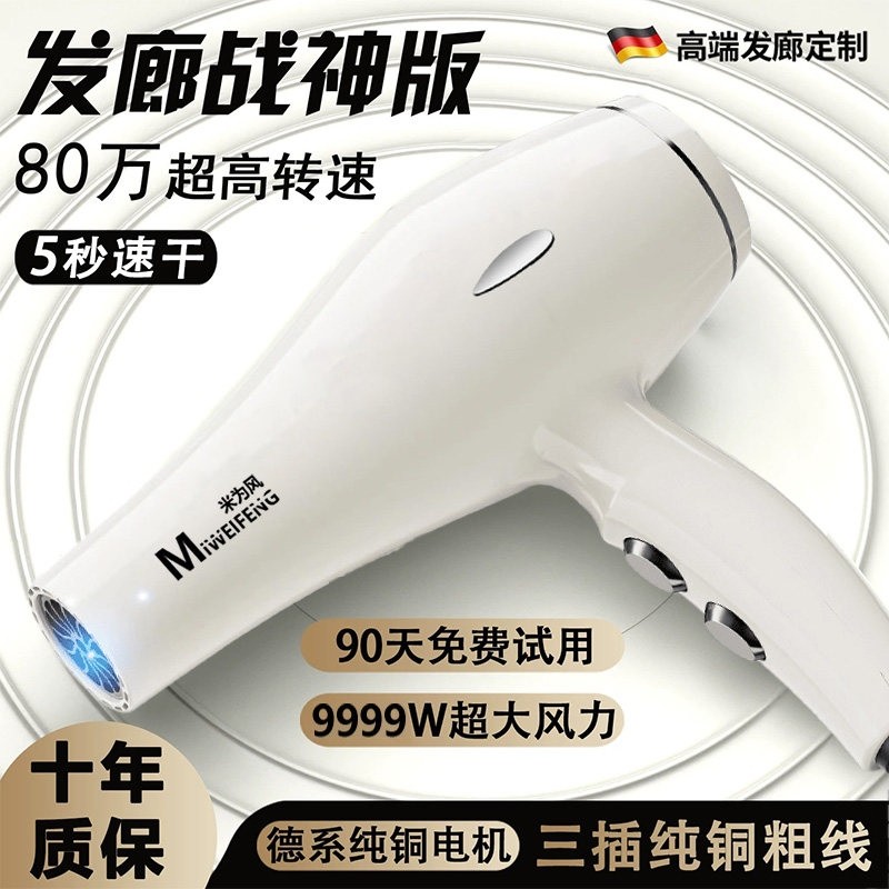 发廊电吹风机家用负离子护发大风发店专用大功率速干冷热风筒力理