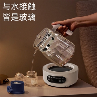 小型办公室壶恒温烧水壶家用电陶炉花茶煮茶 全玻璃养生壶2025新款