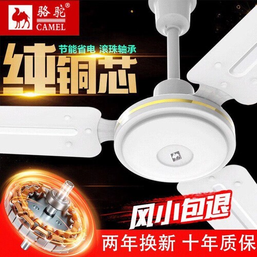 骆驼吊扇56寸家用商用大风力客厅