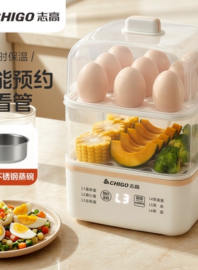志高智能预约电蒸锅家用大容量多