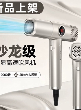 发廊家用大功率1800w负离子台湾