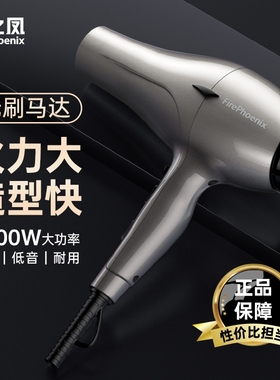 火之凤吹风机6600H理发店专用发男士家用护发风筒型师大功率发廊