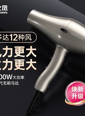火之凤6600X吹风机理发店专用发干风筒廊发型师家用大功率男士速
