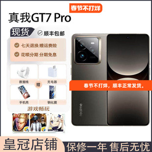 Realme/真我 真我GT7 Pro骁龙8至尊版NFC双卡全网通摄影旗舰机