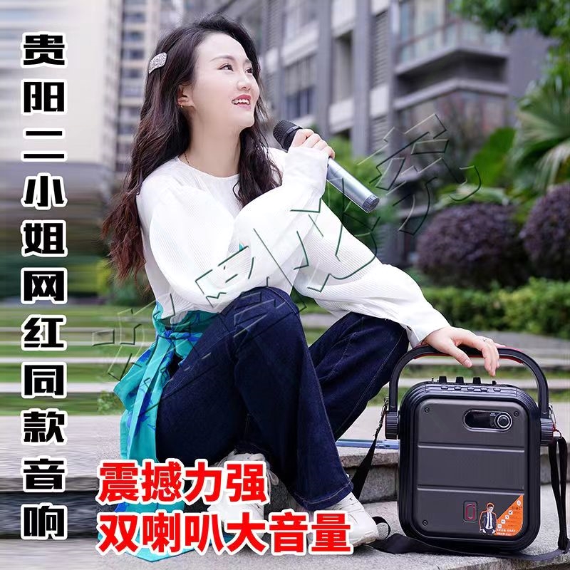 音箱户外音响k歌 带声卡直播话筒用广场舞蓝牙便携小型唱歌乐器专