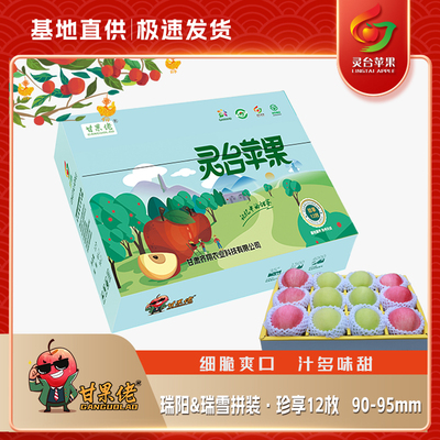 拼装时令甘肃平凉灵台特产水果