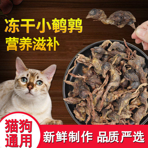 宠物零食冻干鹌鹑猫咪滋补生骨肉磨牙洁齿营养猫狗通用肉干生骨肉