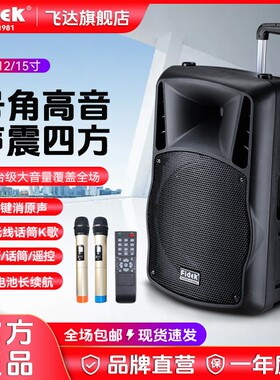 飞达fidek户外蓝牙K歌带话筒大音