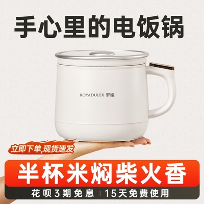 罗娅迷你家用电饭煲便携宿舍家用