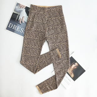 秋裤 豹纹薄绒裤 女式 直筒裤 女内穿加绒 200斤高腰胖M加肥打底裤 大码