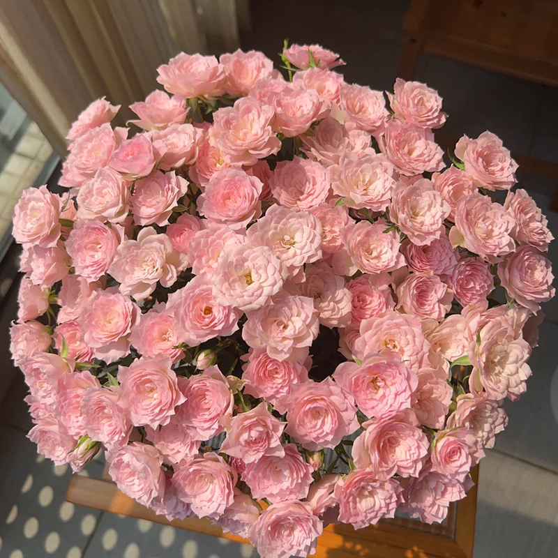 完美甜蜜多头玫瑰鲜花顺丰包邮