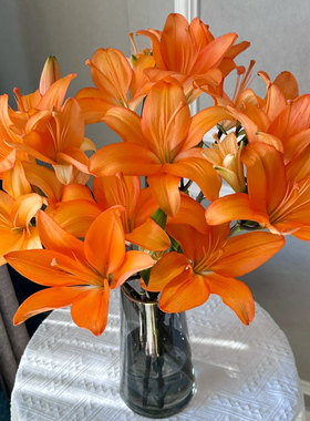 多头橙色梦想亚百合鲜花云南基地直发室内水培鲜切花插花顺丰包邮