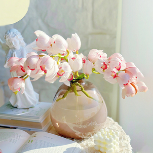 诱惑大花蕙兰鲜花云南基地直发大花惠兰鲜切花浅粉色兰花花期超长