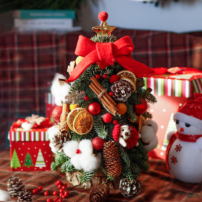 诺贝松圣诞树小型真松树小型