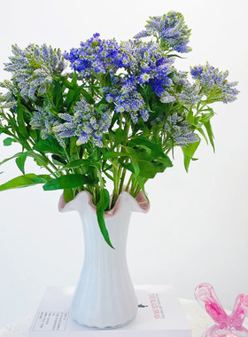 多头鼠尾家用水养插花紫色鲜切花云南昆明基地直发包邮礼物顺丰