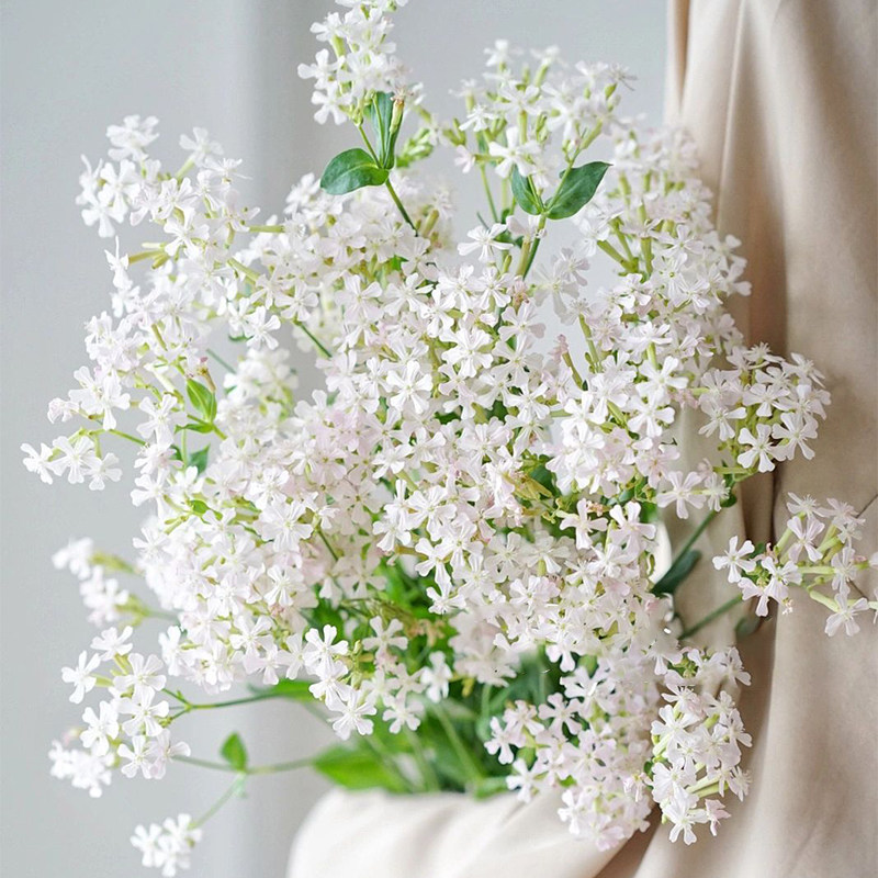 白色粉钻花鲜花云南直发室内花束水养插花配花真花细米花鲜切花,鲜花速递/花卉仿真/绿植园艺,花材,淘宝优惠券,粉丝福利购,淘宝优惠卷