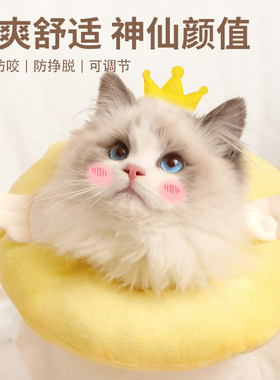 新品特惠价猫咪项圈伊丽莎白圈