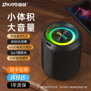 蓝牙音箱大音量超重低音盘小音响高音质炮家用便携 雷登 Ohayo