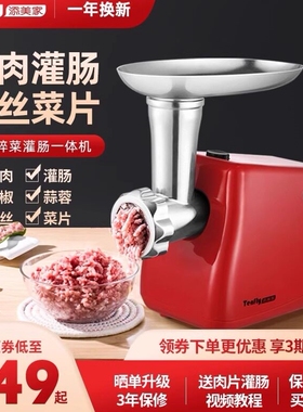Tenfly添美家绞肉机家用电动香肠用不锈钢碎肉馅灌肠机自动小型商