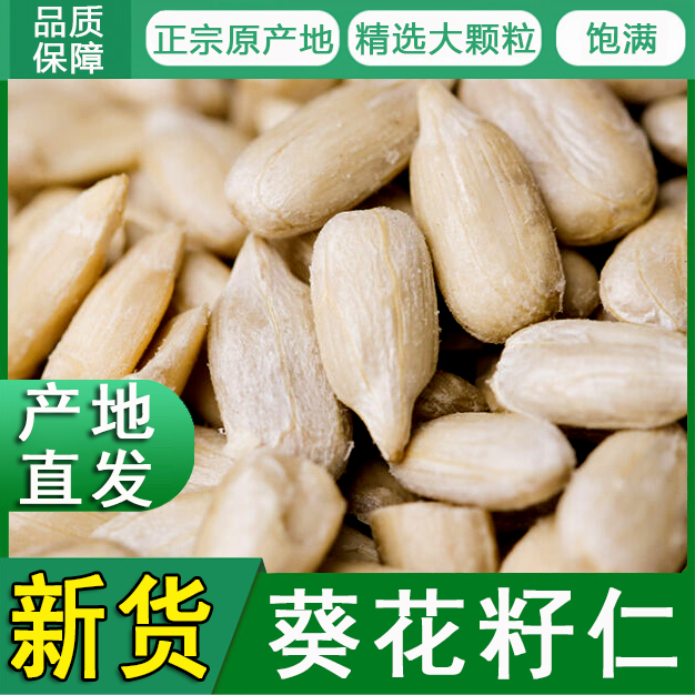 新鲜生葵花籽仁生瓜子仁烘焙原料内蒙古无壳葵花子仁无