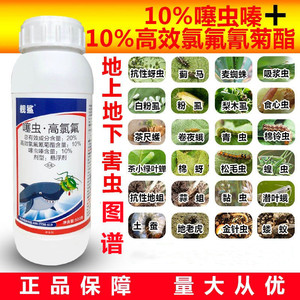 20%高效氯氟氰菊酯噻虫嗪农药杀虫剂蚜虫果树蔬菜蓟马飞虱蚧壳虫