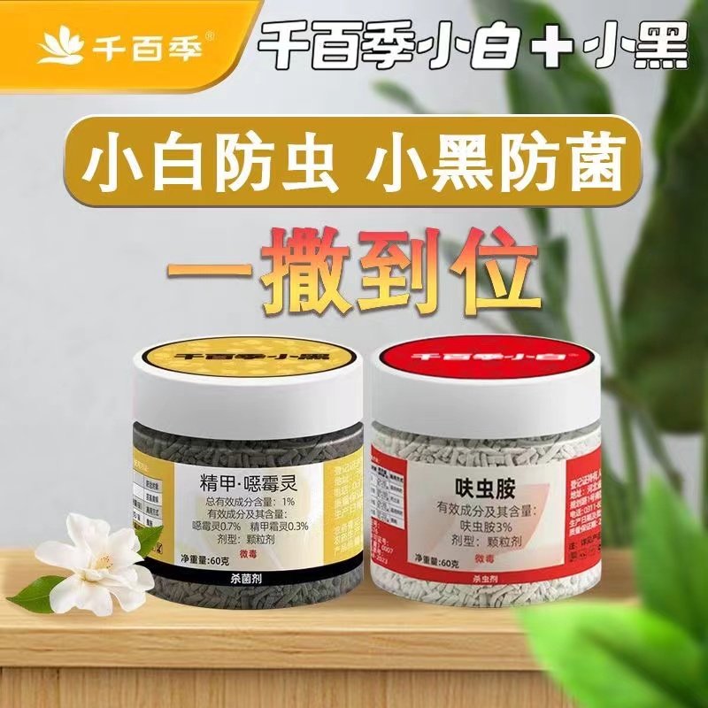 千百季小黑小白药多肉花卉月季杀虫杀菌剂蚜虫蚧壳虫根腐病枯萎病