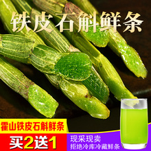 正宗霍山铁皮石斛鲜条新鲜铁皮安徽石斛中药材一斤鲜条500g礼盒装