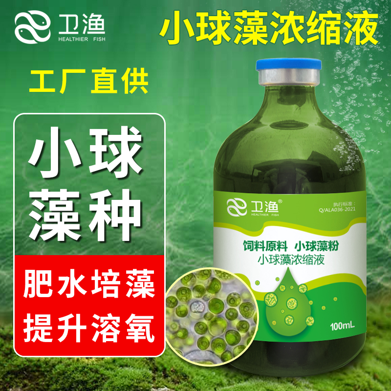 浓缩水培有益育苗开口料小球藻