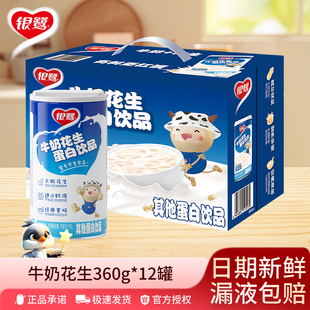 营养早餐奶礼盒 12罐装 新货银鹭牛奶花生饮料整箱批特价 360g