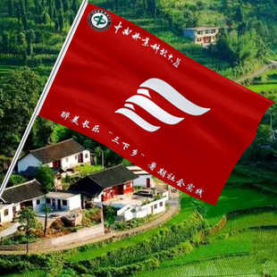 三下乡队旗定制旗帜志愿者服务实践服务暑期手摇旗定制大学生旗子