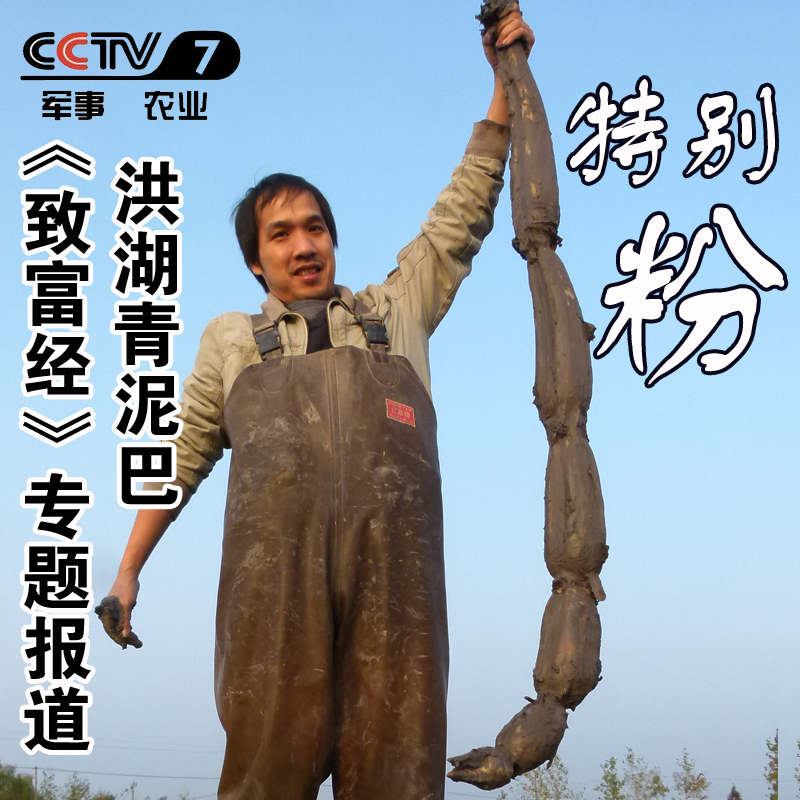 洪湖青泥巴莲藕粉糯香甜金奖产品