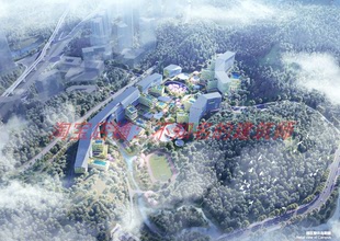 天津大学佐治亚理工深圳学院校区竞赛文本+视频327MB