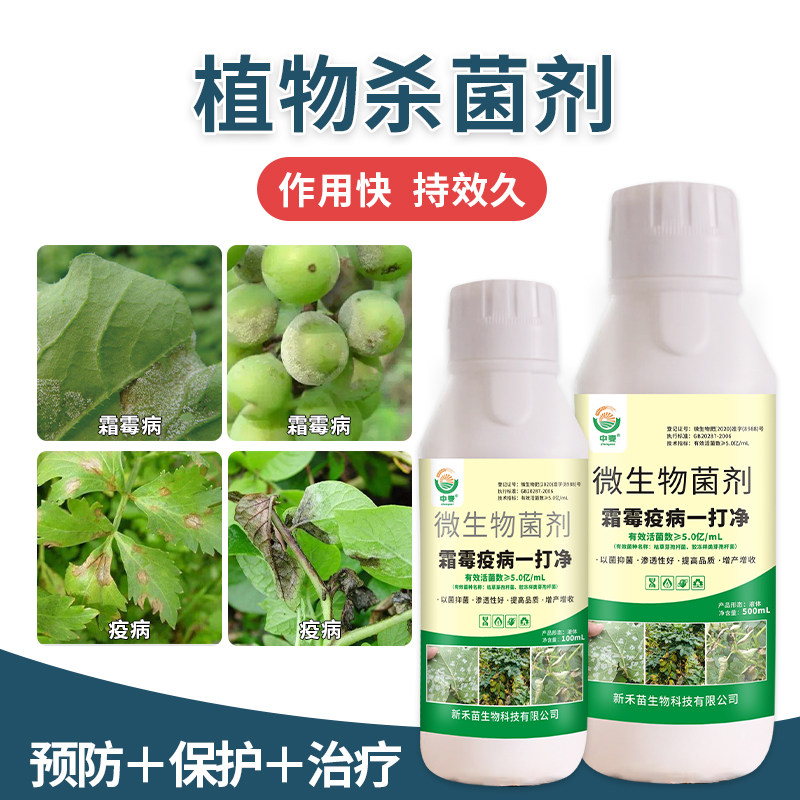 霜霉疫病一打净专用药辣椒葡萄黄瓜番茄霜霉疫病农作物杀菌剂正品
