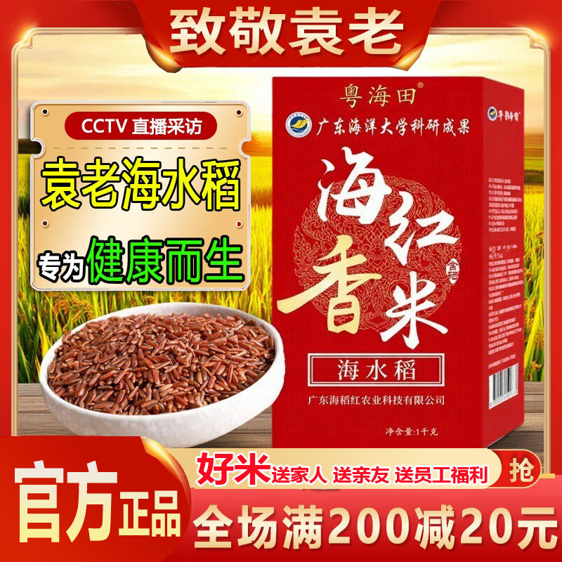 海水稻海红香米广东海洋大学红米