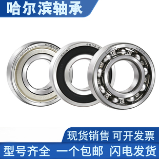 6017 6018 6020ZZ 6019 哈尔滨高速深沟球滚珠轴承6016