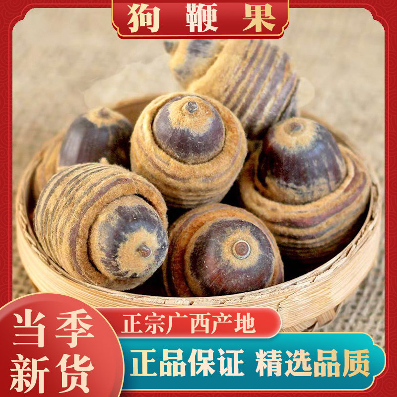广西狗鞭果泡酒专用药材新货风流