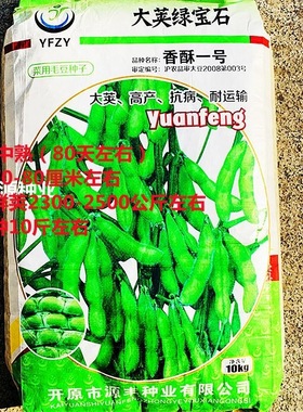香酥一号种子中熟大荚绿宝石中熟口感甜嫩鲜荚青绿色菜用毛豆种籽