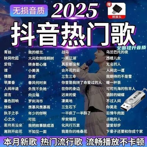 2025抖音热门车载U盘音乐随身听