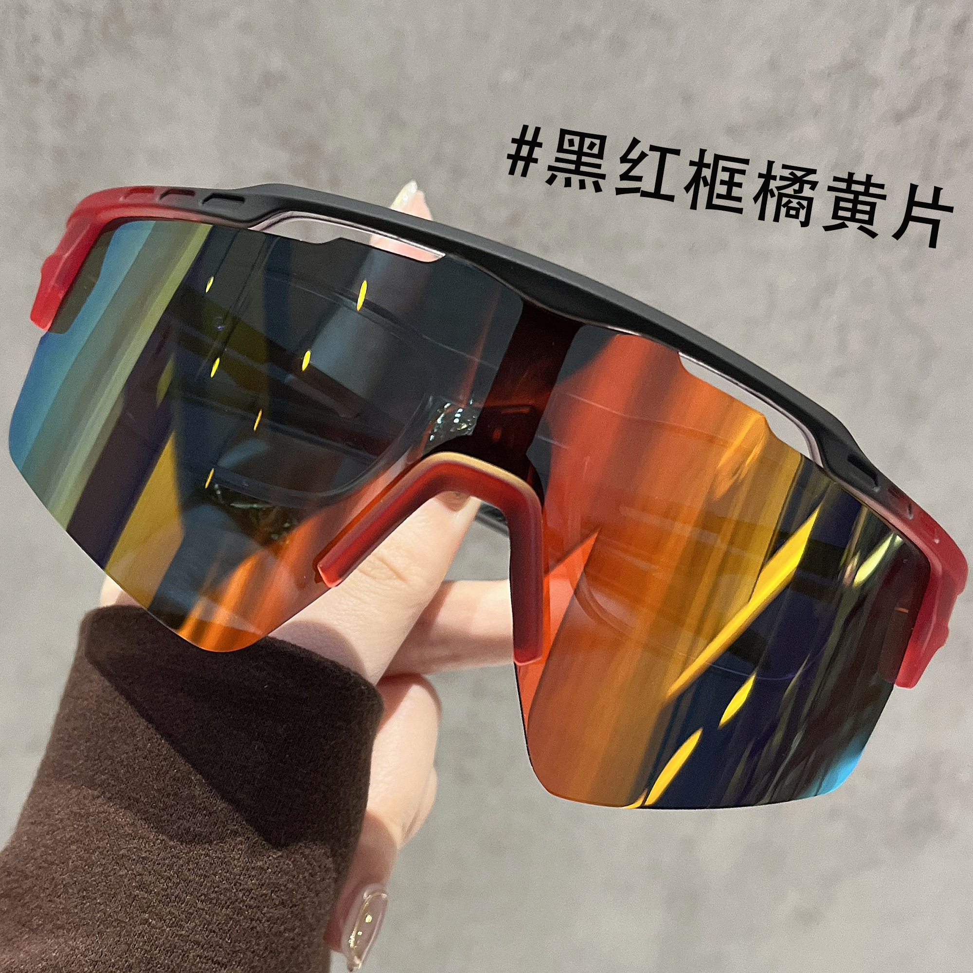 专业骑行眼镜近视防风登山护目镜