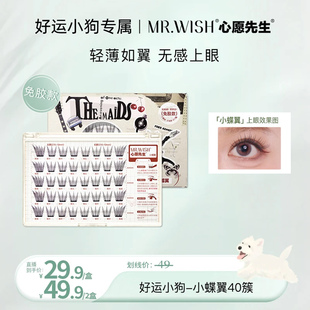 Mr.wish 千金 心愿先生免胶小蝶翼假睫毛清透自然上镜韩式