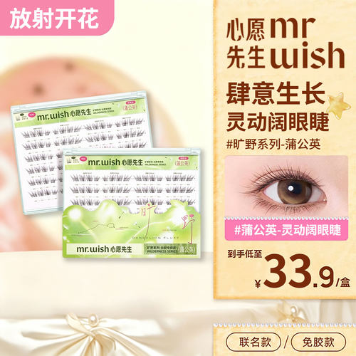 心愿先生免胶轻盈自然假睫毛