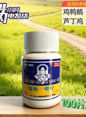 家养鸡鸭鹅喘痢一喂停鸽子鹌鹑用