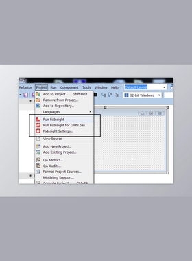 TMS FixInsight Pro v2021.10 for Delphi 2006-11 Alexandria