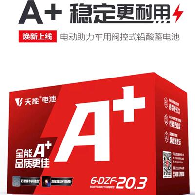 天能60V20.3AH748V15电动
