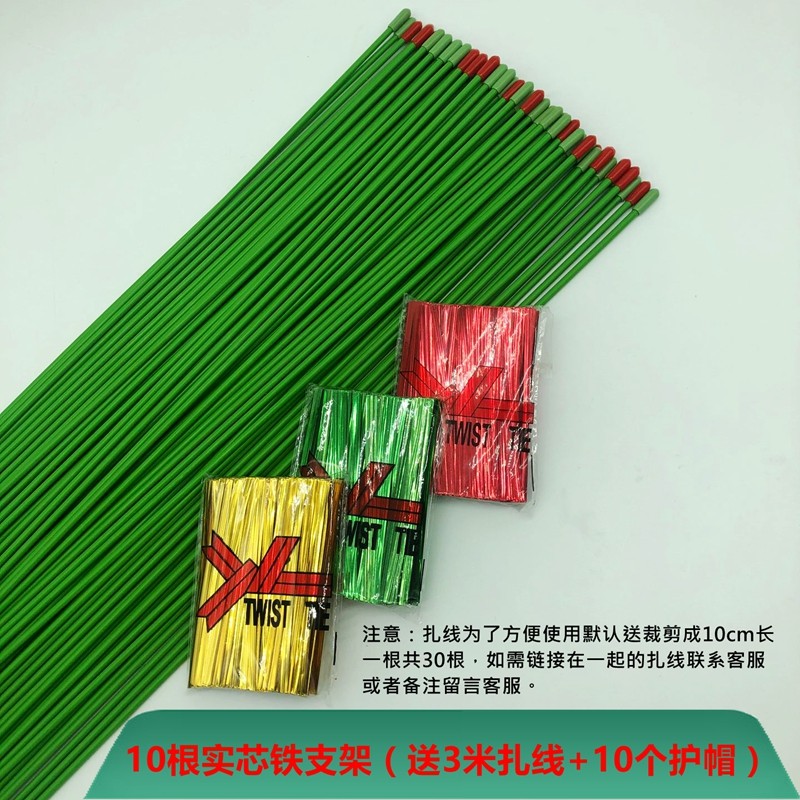 金钱树支撑杆植物固定花架爬藤架阳台花盆支架园艺花卉盆栽支撑架,搬运/仓储/物流设备,机械式停车设备（立体停车库）,淘宝优惠券,粉丝福利购,淘宝优惠卷