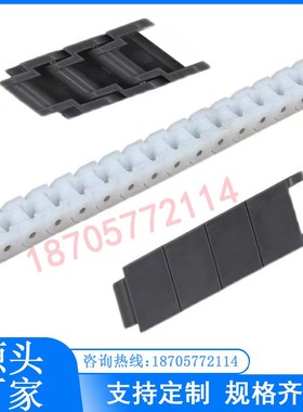 工业输送链条RS40P工程塑料链条短节距白色龙骨链板60P平顶传输链