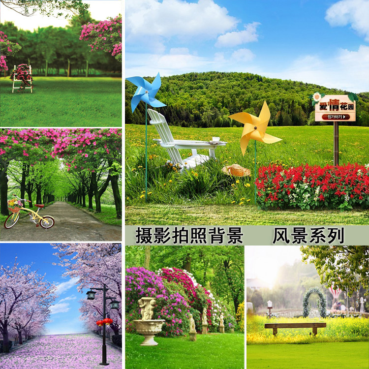 草丛树林风景摄影拍照背景室外自然风光主播直播背景视频拍摄背景