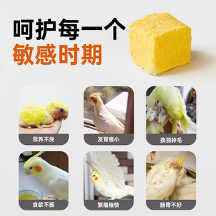 鹦鹉训练奖励零食冻干蛋黄颗粒玄凤牡丹虎皮饲料伴侣繁殖孵蛋鸟粮